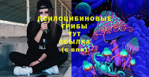 твердый Алексеевка