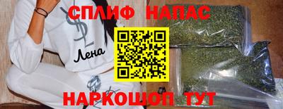 молекула духа Пугачёв