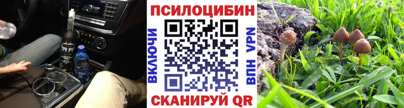 Псилоцибиновые грибы GOLDEN TEACHER  Осинники 