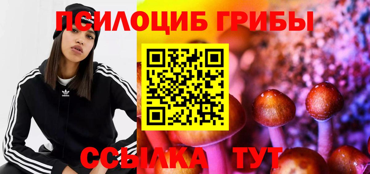 Псилоцибиновые грибы ЛСД  Вход с VPN  Осинники 
