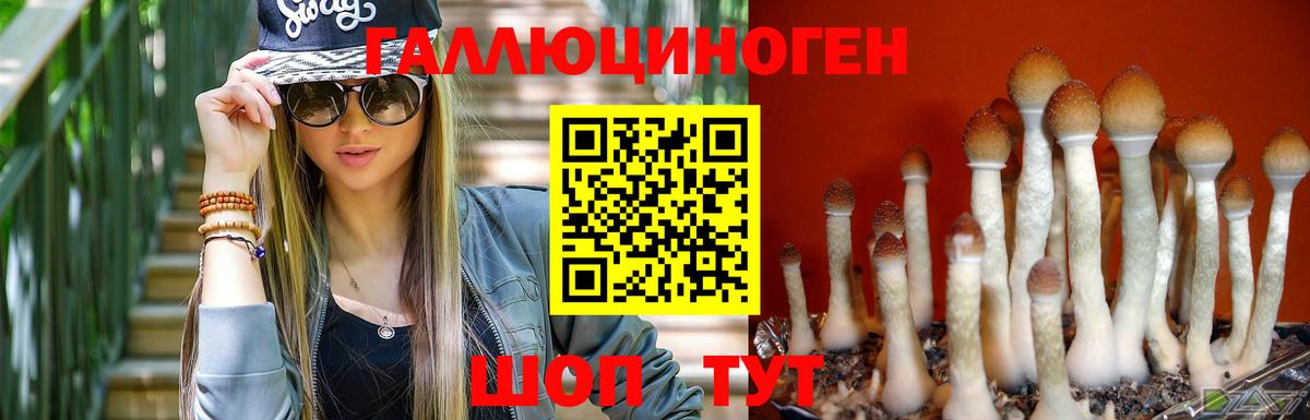 Галлюциногенные грибы ЛСД Осинники